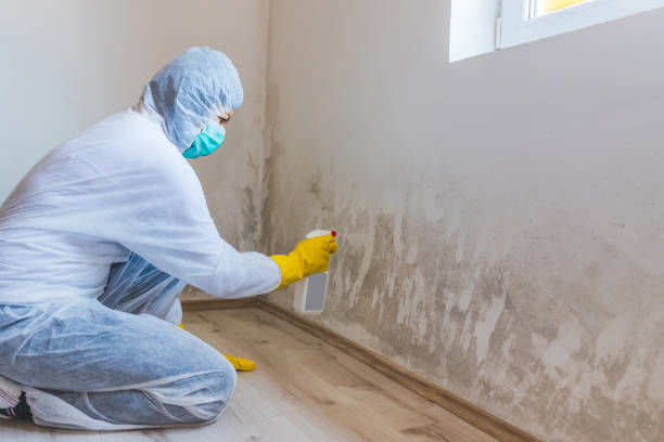 Licensed Commercial Mold Remediation service in Chester Springs, PA - WQB Mold Removal