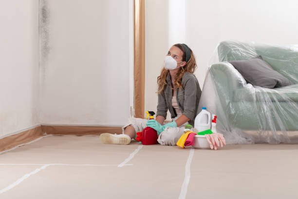 Reliable Commercial Mold Remediation contractor in Chester Springs, PA by WQB Mold Removal